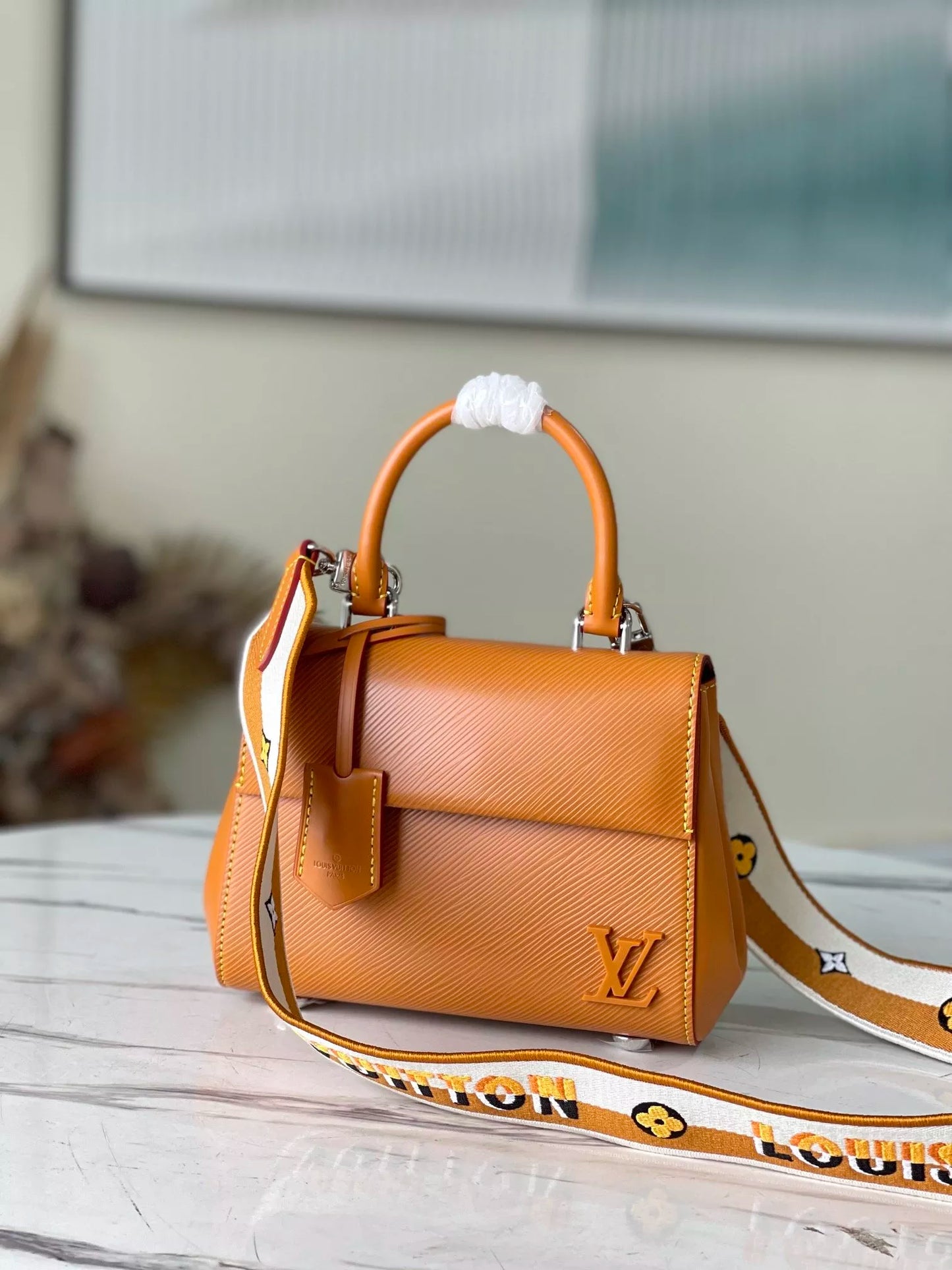 Louis Vuitton Mini Cluny Bag